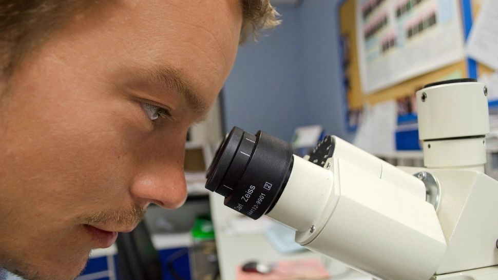 Știința care sfidează realitatea. Cum arată creatura care este pe jumătate plantă, pe jumătate animal