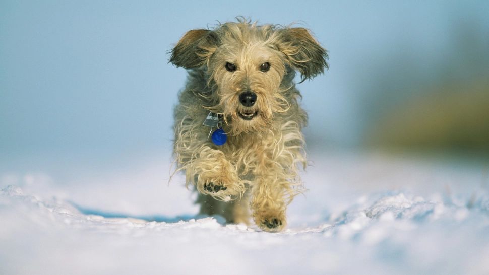 Vremea 5 februarie. Mari surprize din punct de vedere termic. Ce SCHIMBĂRI aduce ziua de astăzi