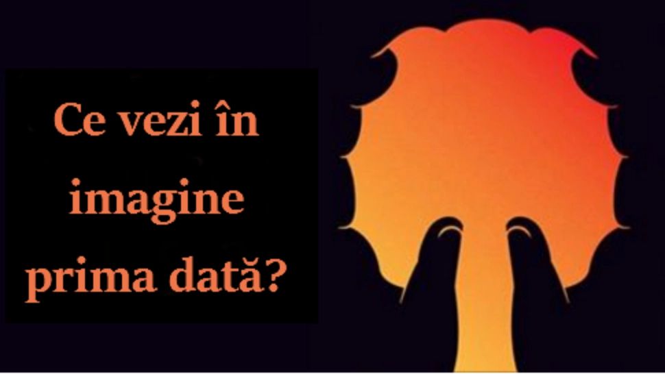 Află ce tip de personalitate ai. Ce vezi pentru prima dată în imagine