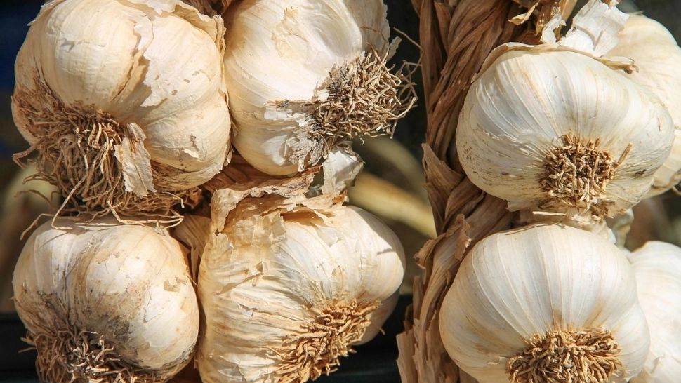 Români, implicați în "jaful secolului": o mie de tone de usturoi au fost furate! Prejudiciul, 600.000 de euro