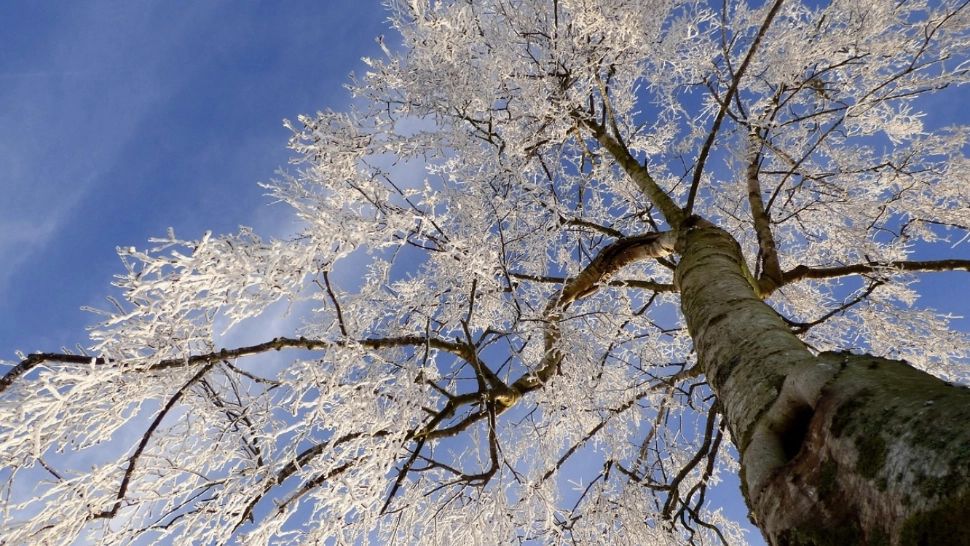 Crăciun cu zăpadă. Meteorologii de la ANM anunță ninsori abundente