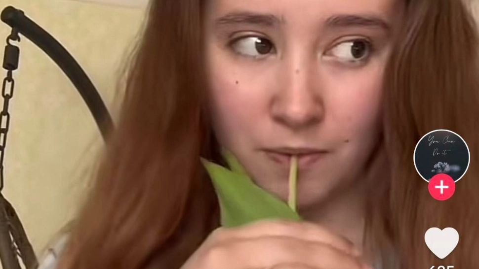 Un nou TREND periculos pe TikTok: consumul de lalele. Cât de nociv este pentru sănătate