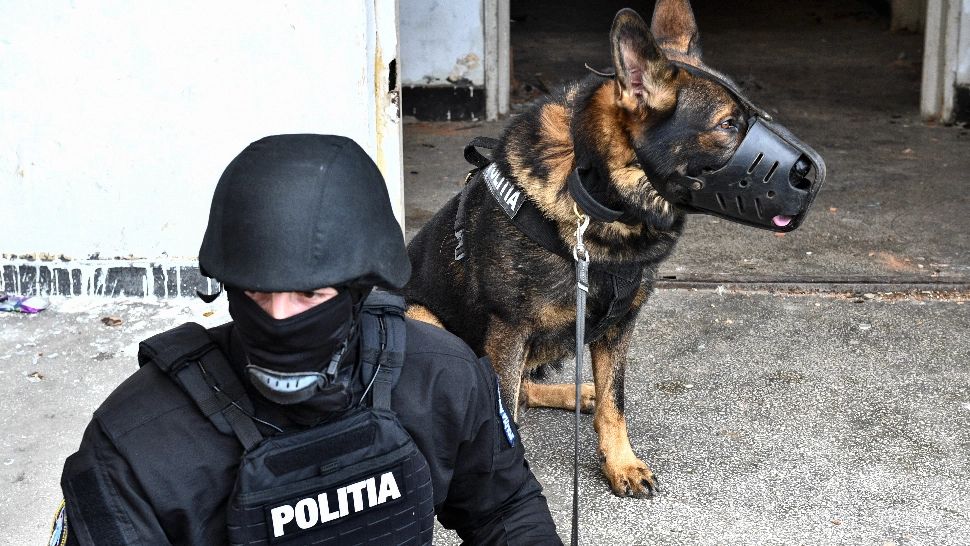 Percheziții la mafia cămătarilor: familia lui Bercea Mondialu, călcată de mascați