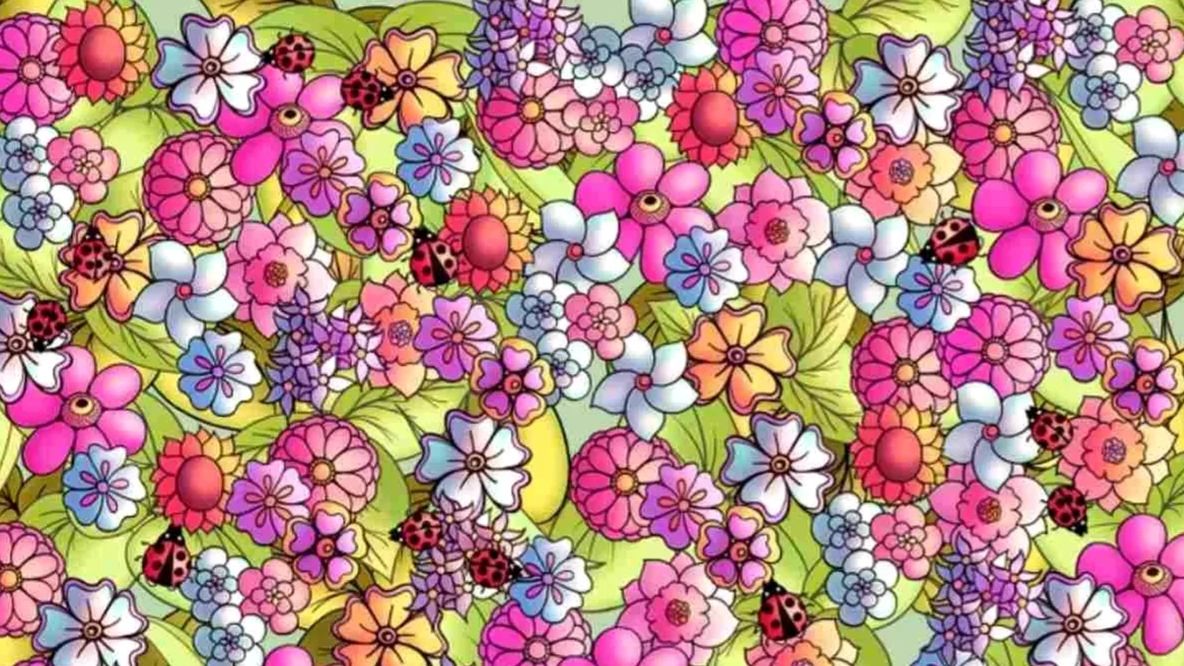 Testul minților sclipitoare. Poți să găsești fluturele ascuns printre flori? 