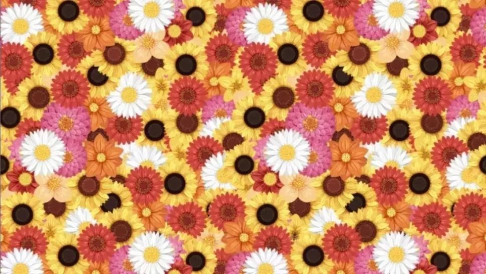 Testul care te poate scăpa de înțepături inutile. Poți să găsești albina în numai 5 secunde? S-a camuflat atât de bine încât nimic nu o dă de gol