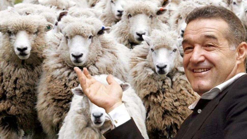 Omul de încredere al lui Gigi Becali fuge, disperat de dezvăluirile jurnaliștilor de la Realitatea Plus - VIDEO