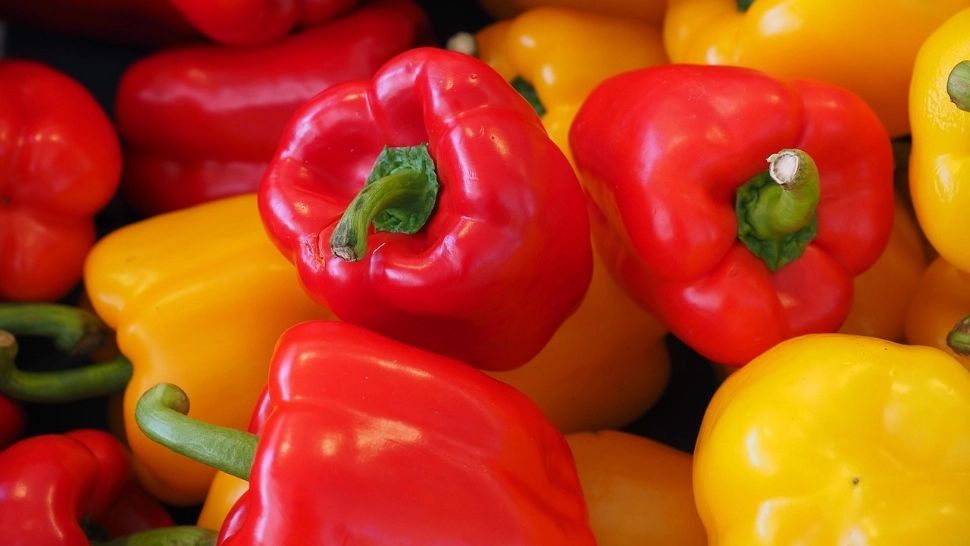 Pași simpli pentru cultivarea ardeiului. Un grădinar priceput a dezvăluit secretele