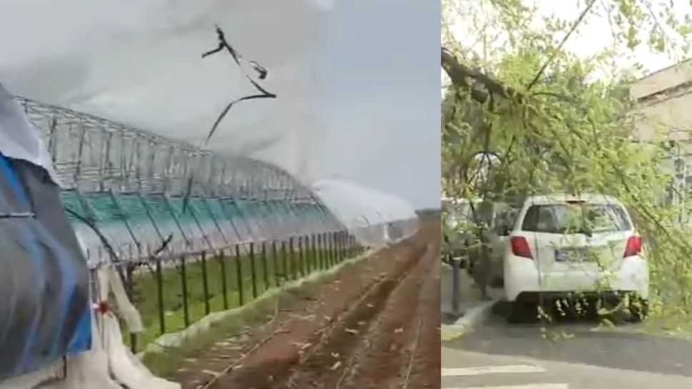 VIDEO. România, devastată de furtuni. Acoperișuri smulse și sere distruse. Copaci prăbușiți peste mașini. Autoritățile avertizează populația să se protejeze  