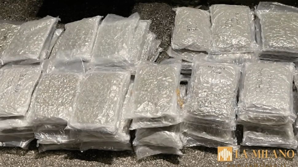 Român prins în camion cu peste 90 de kilograme de canabis