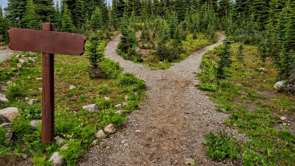 ZODII care își rescriu DESTINUL începând cu 31 martie 2025. Viața lor capătă o nouă turnură