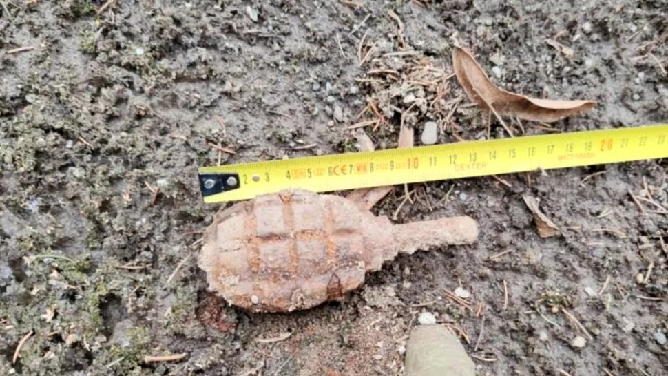 O grenadă a fost descoperită în curtea unui localnic din Botoșani