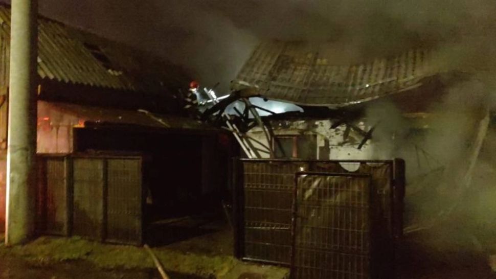 Incendiu de proporții într-o gospodărie din Argeș. Pompierii s-au luptat ore întregi cu flăcările care au mistuit o casă și mai multe anexe