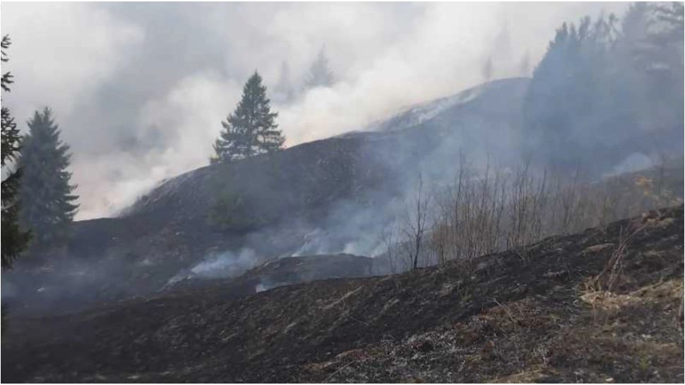 Incendiu de proporții în Neamț. Șapte hectare de vegetație au fost mistuite de flăcări 
