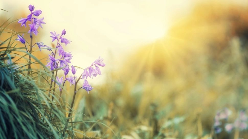 Prognoza meteo martie 2026. Cum va fi vremea de Paștele Catolic și de Florii