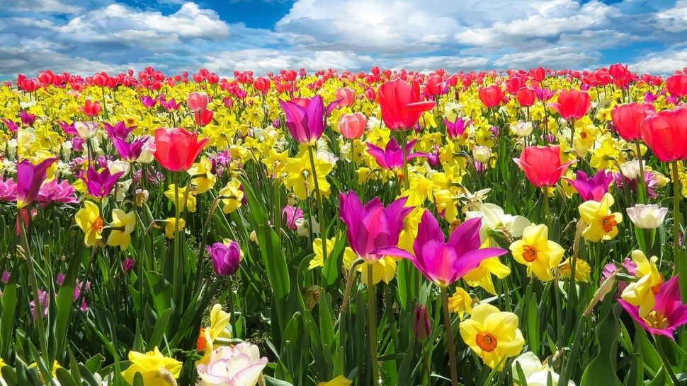 Prima zi de Paște a adus temperaturi de vară. Noua prognoză