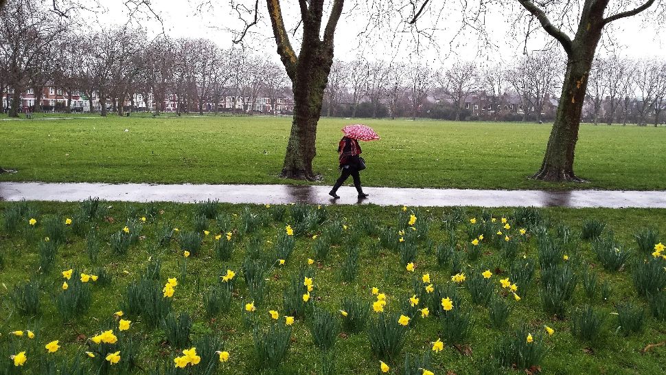 Vremea 25 martie. Temperaturi de până la 26 de grade și instabilitate atmosferică accentuată: unde va ploua astăzi 