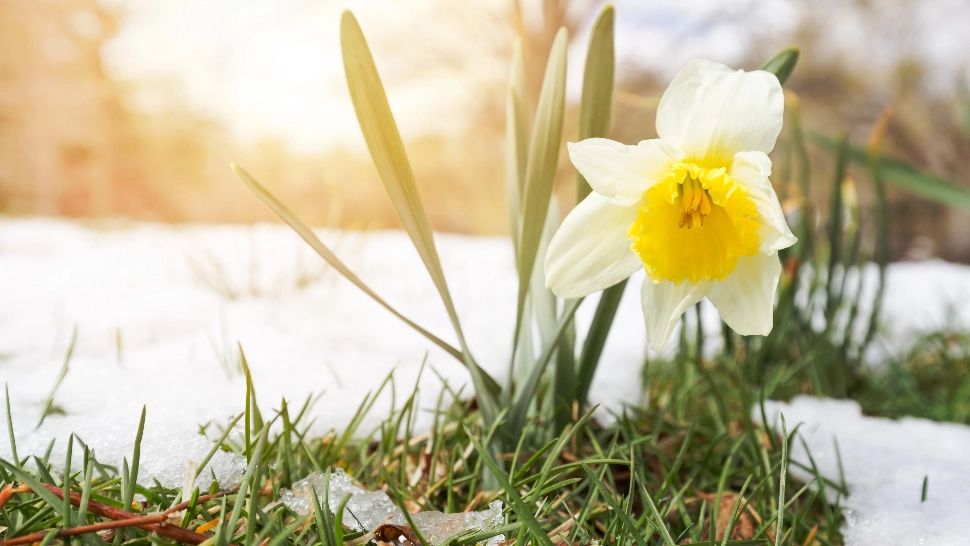 Vremea 19 martie. Frig și ninsori după temperaturile de vară. Vremea a luat-o razna în toată țara