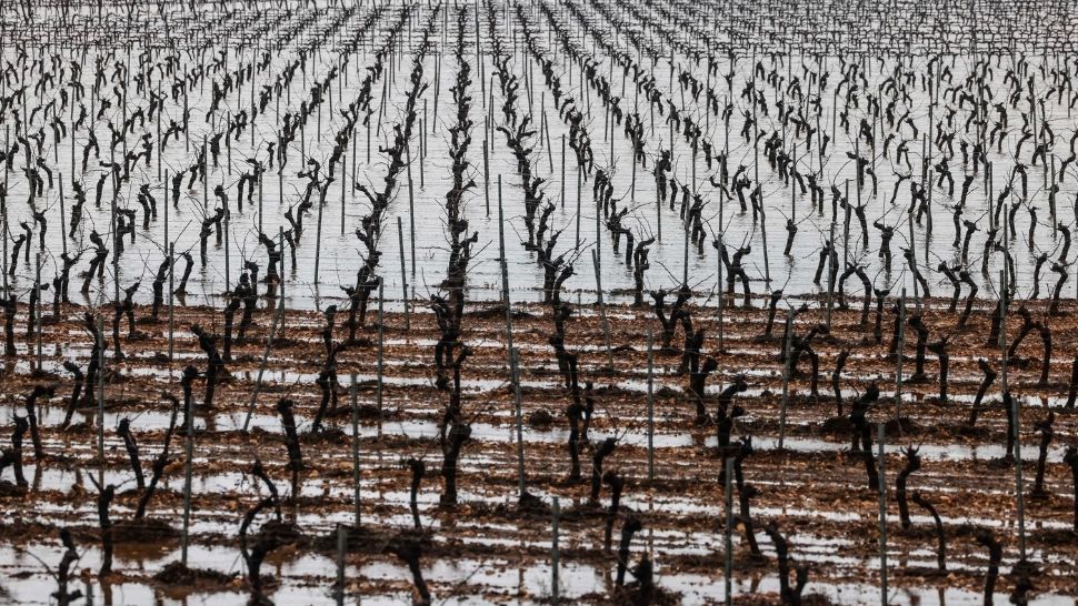 Spania, măturată de ploi torențiale, la numai patru luni după inundațiile devastatoare din Valencia