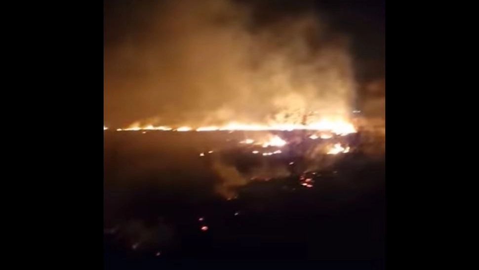 Incendiu de proporții pe miriștile de lîngă Reghin. Traficul pe DN15 a fost oprit