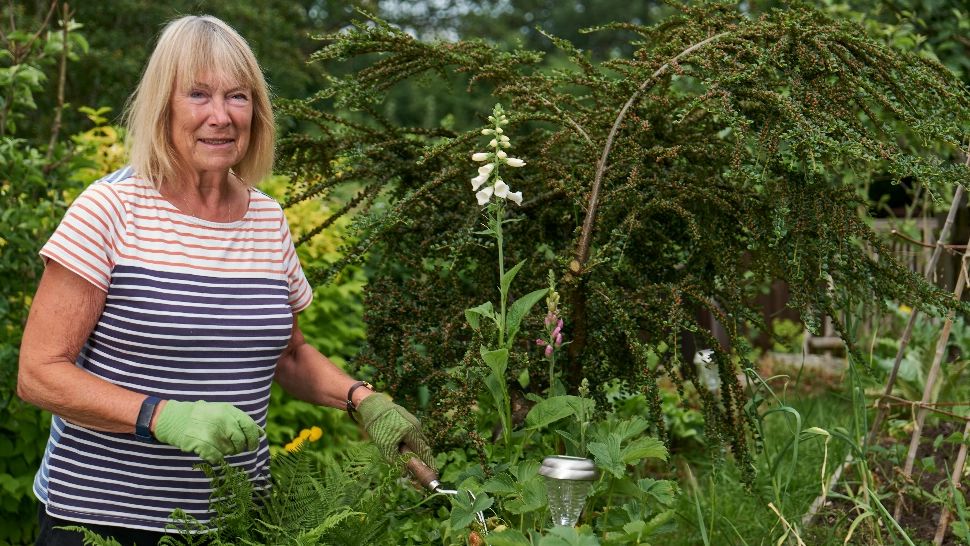 Planta de sezon, cu cel mai puternic efect detoxifiant. Ajută la întărirea oaselor și este un tonic excelent pentru organism