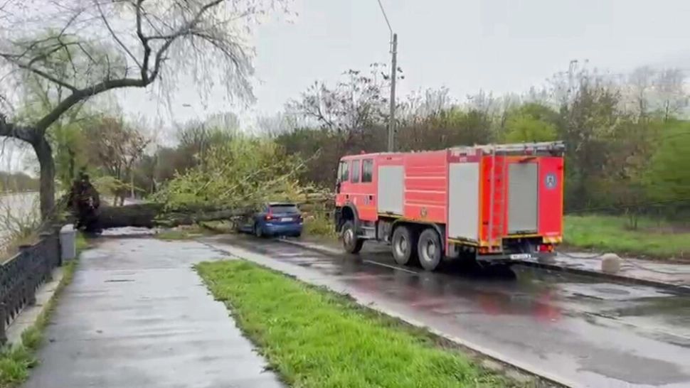 Copac prăbușit peste o mașină aflată în mers pe Splaiul Unirii din București. Șoferul a ajuns la spital