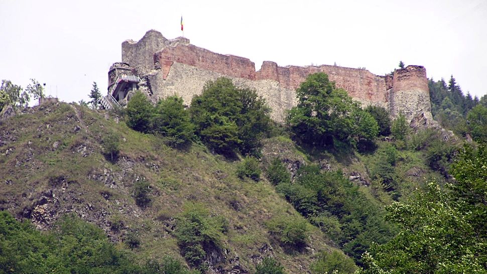 Alertă la Cetatea Poenari! Urșii au rupt gardul electric: accesul turiștilor a fost oprit