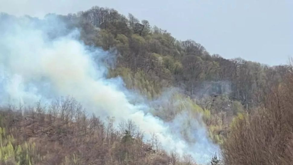 Incendiul de pădure de la Cetățeni, Argeș, stins după 5 zile. Focul, cel mai probabil de la o țigară aruncată la întâmplare