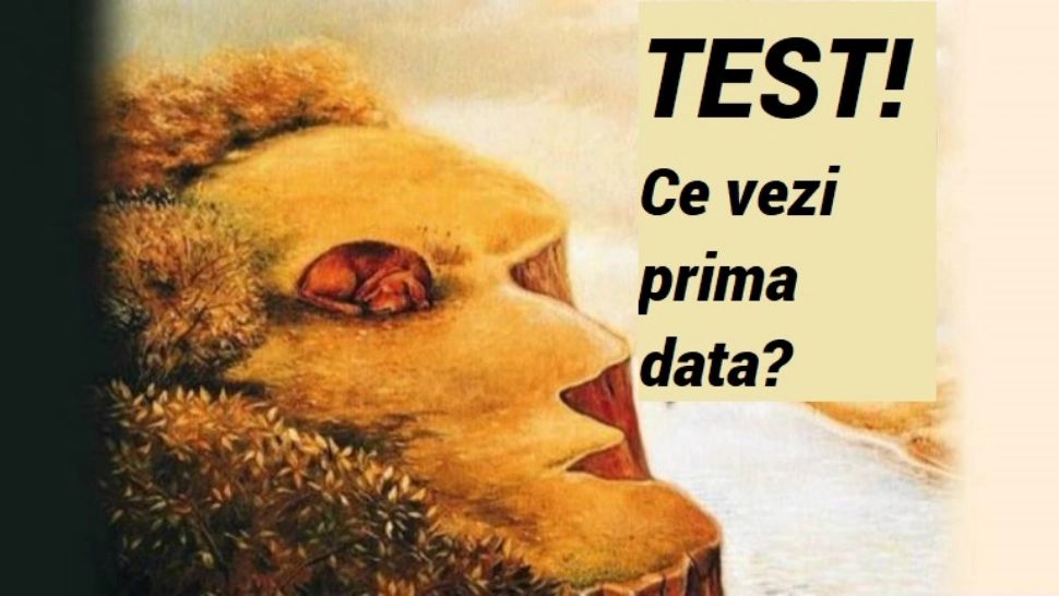Test de personalitate. Ce vezi prima dată în această imagine?