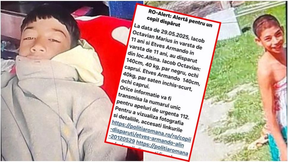 Doi copii de 11 ani, dați dispăruți prin RO-Alert. Minorii au plecat după lemne și nu s-au mai întors 