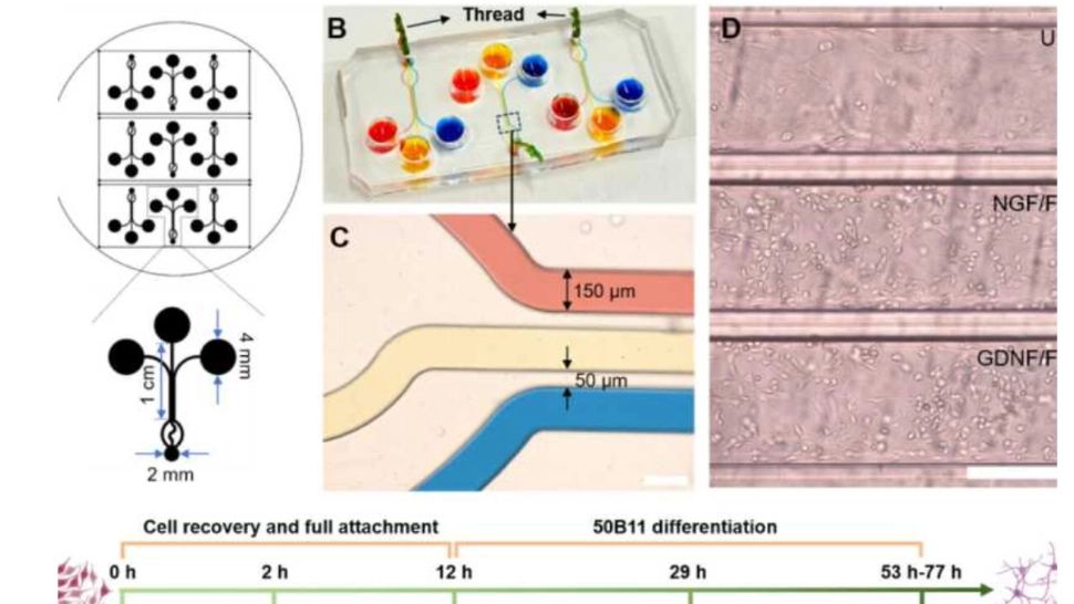 S-a descoperit dispozitivul care identifică tipurile de durere cronică. Este echipat cu un biosenzor minim invaziv iar diagnosticul e imediat