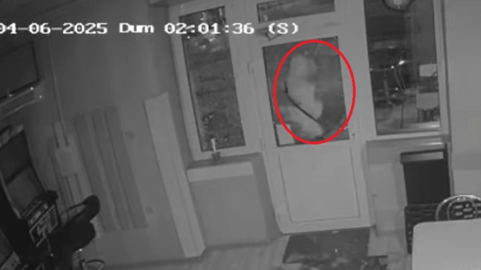 Tentativă de JAF, surprinsă de camere, în Dej! Imagini halucinante VIDEO