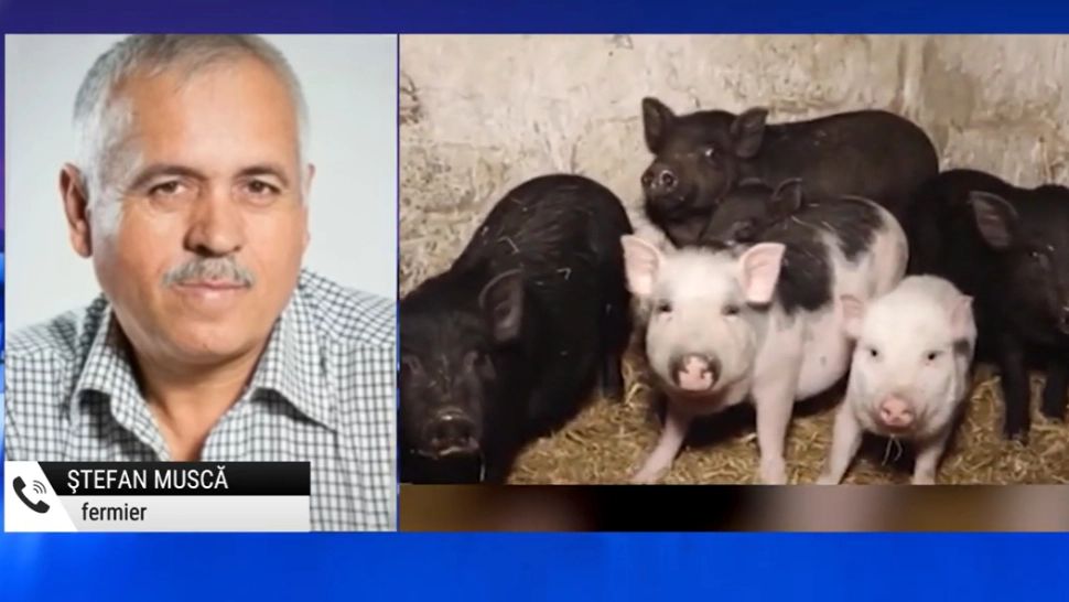 VIDEO. Strigăt de ajutor de la fermieri: Comunitatea Europeană nu vrea să mai producem în țară