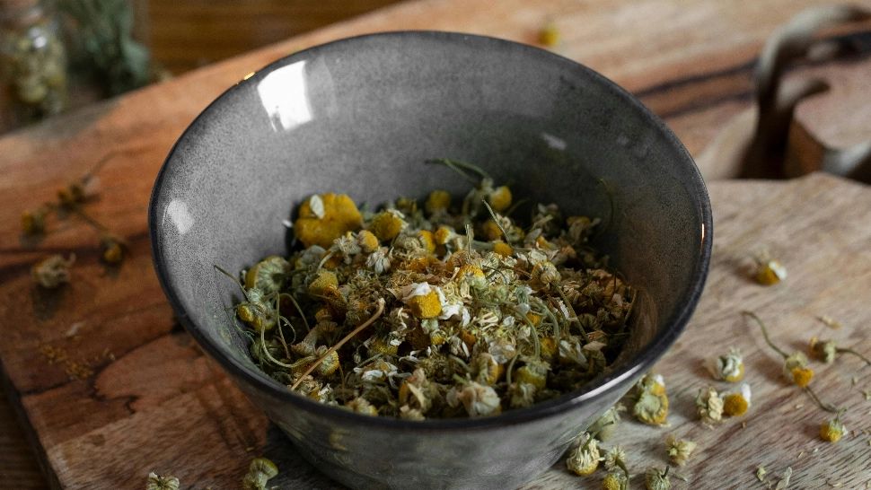 Planta medicinală care nu trebuie să-ți lipsească NICIODATĂ din casă. Eficiența sa este dovedită științific