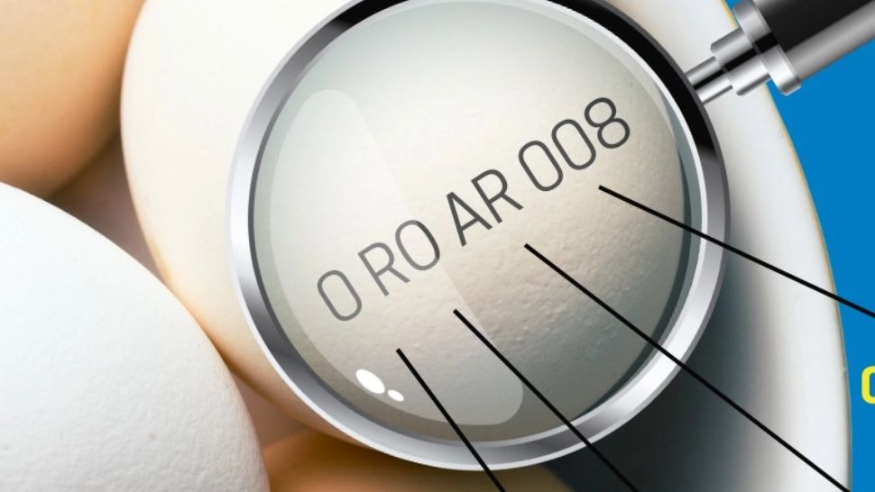 Ce reprezintă codul misterios trecut pe toate ouăle din supermarket. Informații importante, ca să știi ce cumperi de la raft