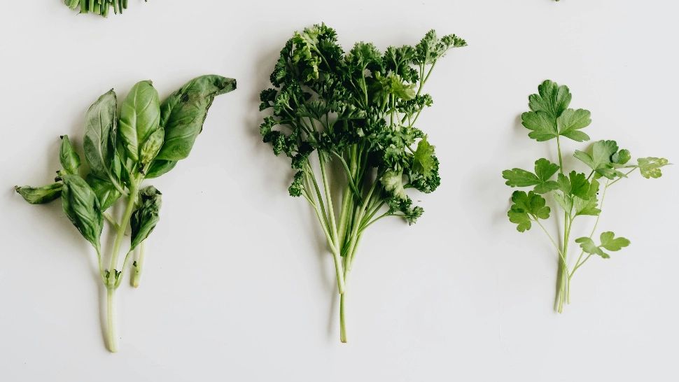 Planta care scade glicemia și tensiunea arterială. Ce recomandă un renumit diabetolog