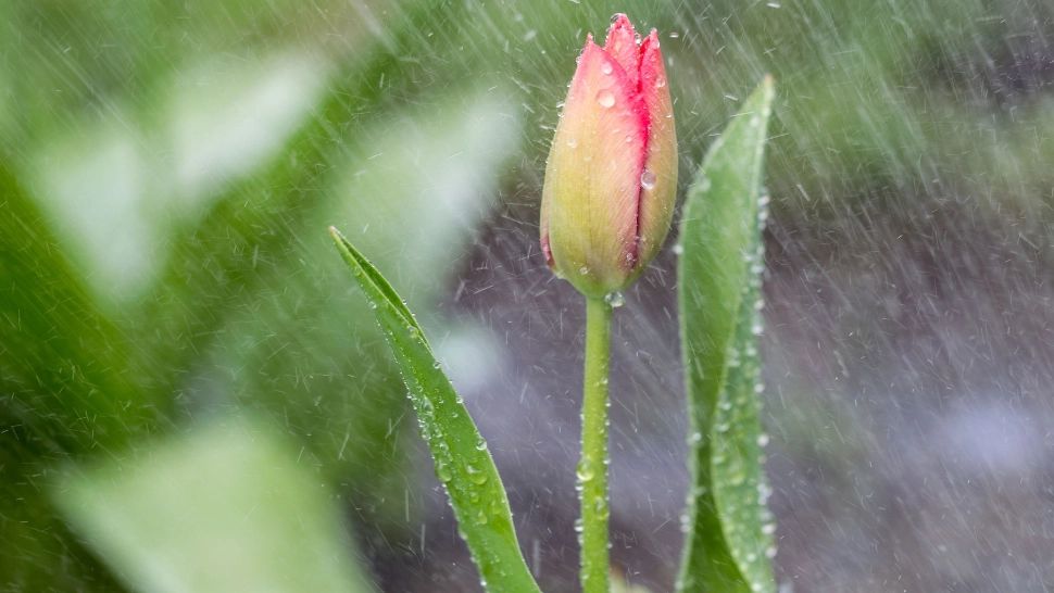 Vremea 26 aprilie. Instabilitate atmosferică accentuată: sunt așteptate ploi și descărcări electrice. Unde va fi cel mai cald astăzi