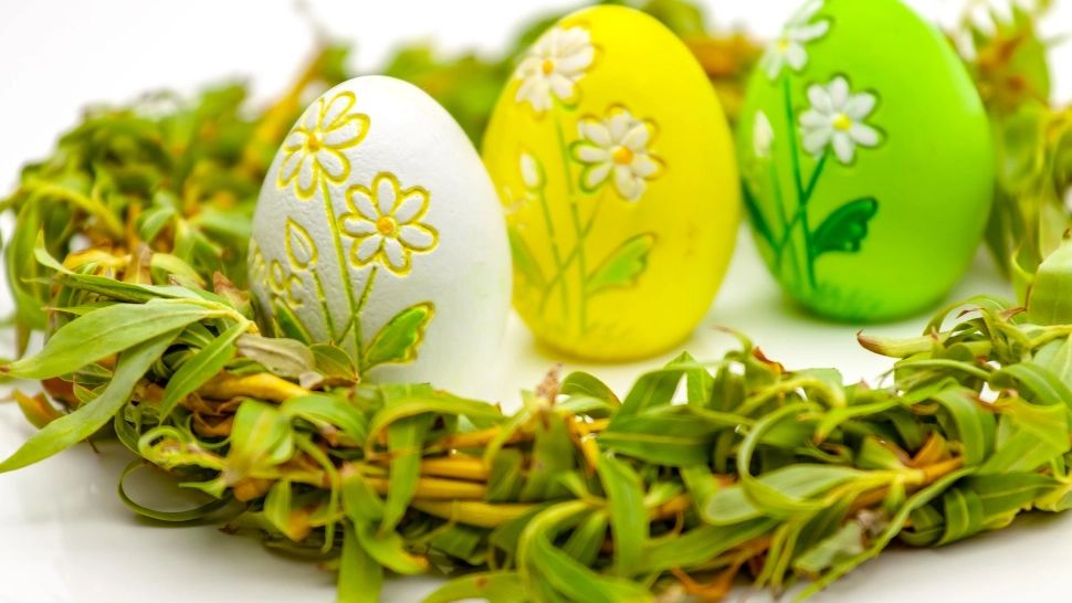 Salcia, simbolul sărbătorii de Florii. Legendele țesute în jurul ei: de ce se spune că plânge