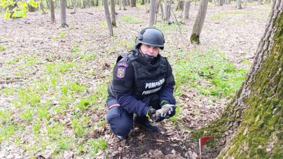 Alertă de GRENADĂ în Botoșani. Un bărbat a sunat la 112 să anunțe că a găsit un proiectil, când culegea ciperci în pădure