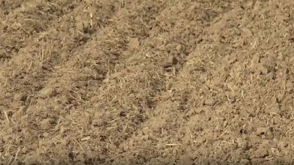 Seceta distruge recoltele. Agricultorii sunt disperați: „Ne este frică să ieșim în câmp să însămânțăm!”