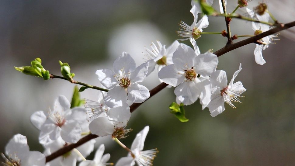 Prognoza ANM de 1 Mai: vremea se încălzește în toată țara, dar vin ploile. La ce să se aștepte românii care merg la mare