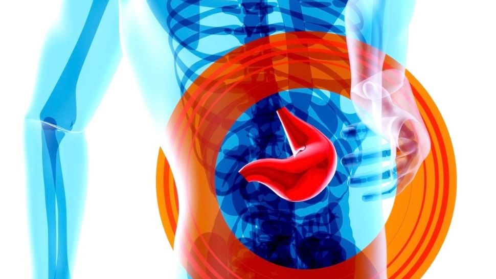 Flora intestinală: consultul de gastroenterologie contribuie semnificativ la identificarea unor dezechilibre