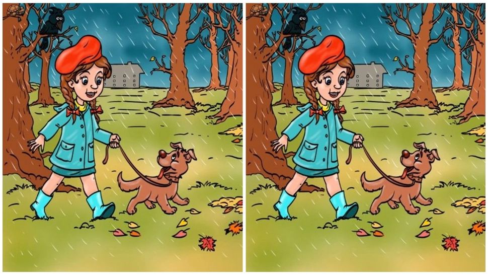 Test de inteligență pentru geniile cu ochi de șoim. Găsește greșeala din imagine în mai puțin de 5 secunde