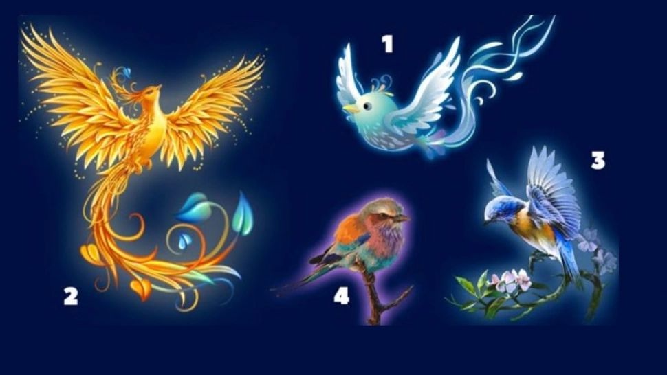 Testul care îți arată cum va fi următoarea perioadă pentru tine