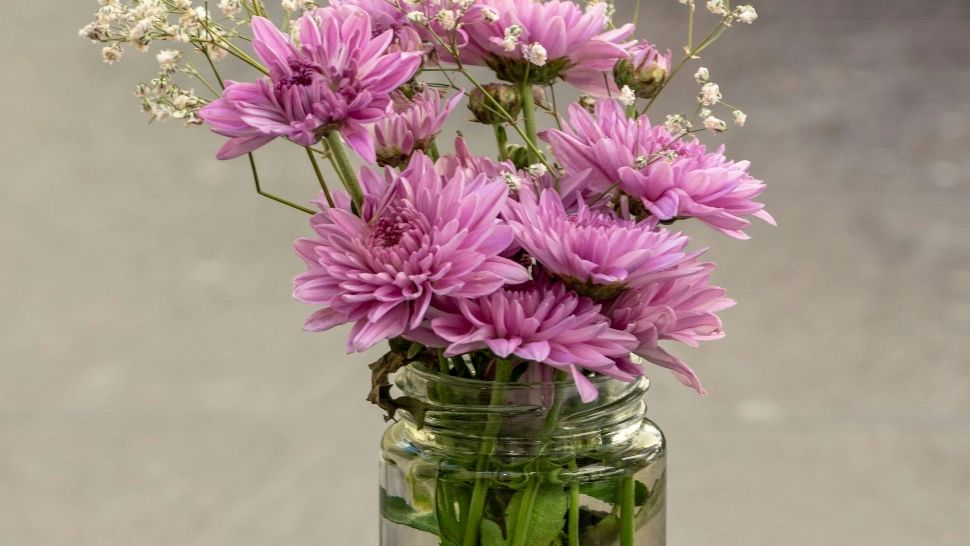 Ce se întâmplă dacă pui o monedă în vaza cu flori. Sigur nu știai asta!