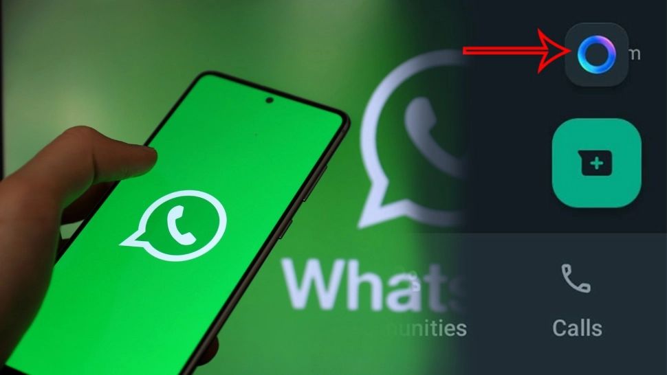 Ce face cerculețul albastru din WhatsApp. Noua funcție introdusă pe aplicație va fi disponibilă gratis pentru toți utilizatorii