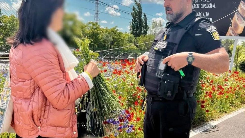 Amendată pentru că a cules flori de pe spațiul verde de la Lacul Morii. Pățania unei femei din București: „Le-am luat să le pun în vază”