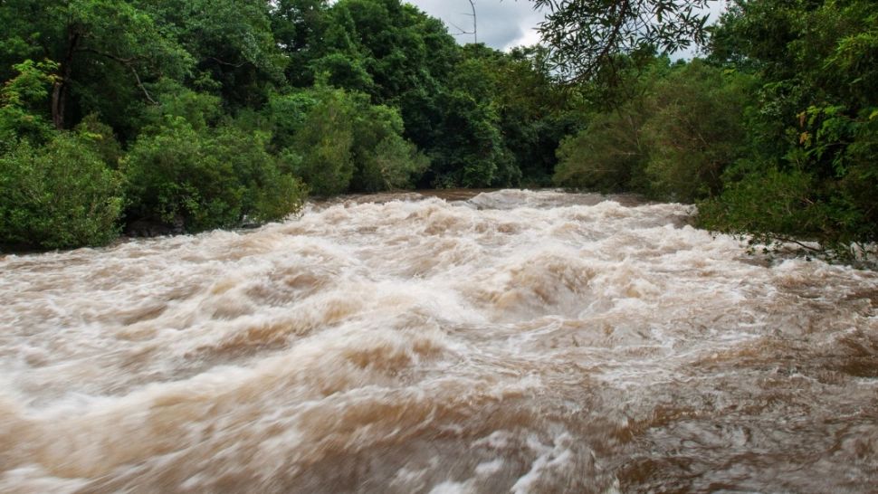 România inundată. Hidrologii au emis alertă COD ROȘU pentru 12 județe. Este urgie in Transilvania și Moldova - HARTA