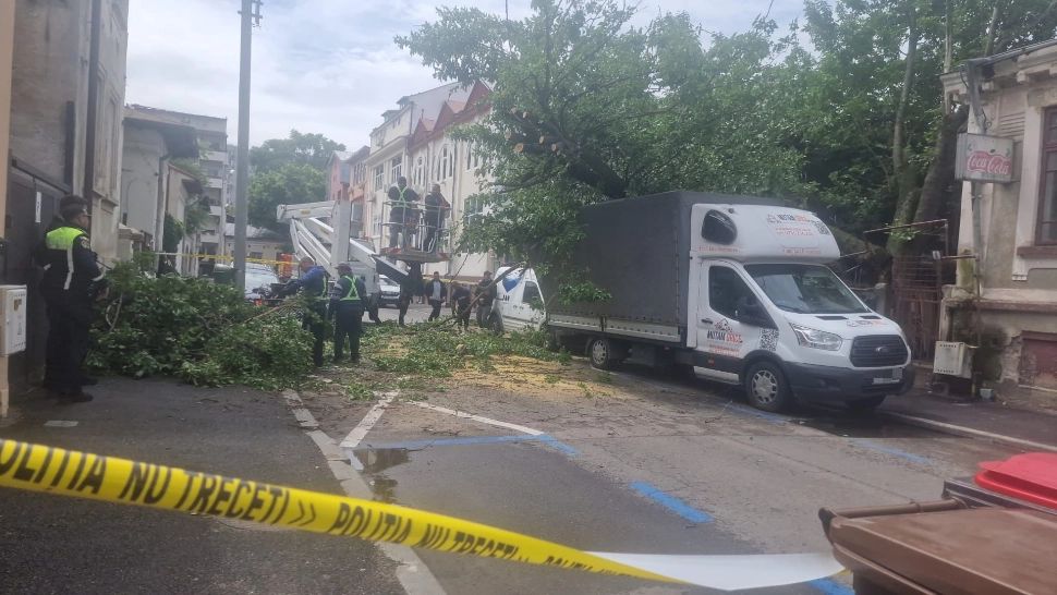 Vremea REA a făcut ravagii în Capitală. Copac prăbușit peste patru mașini în Sectorul 1: trafic restricționat și o conductă de gaze avariată