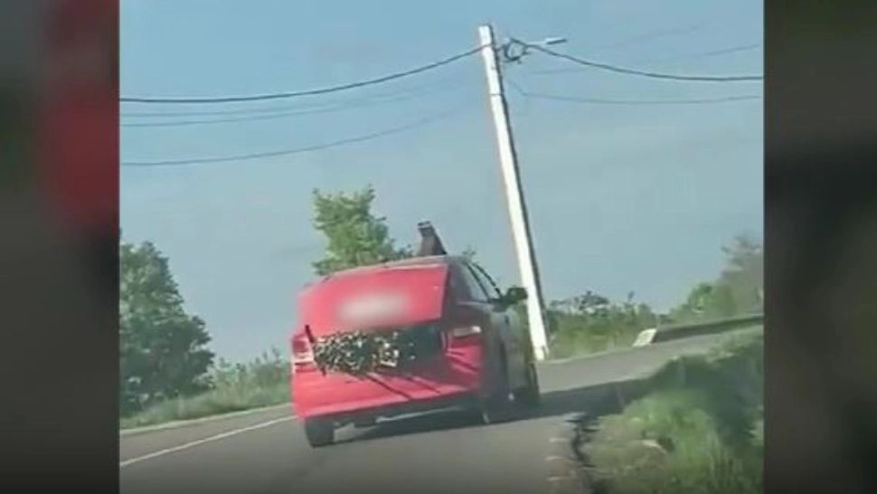 Scene șocante! Copil transportat în portbagajul plin cu lemne