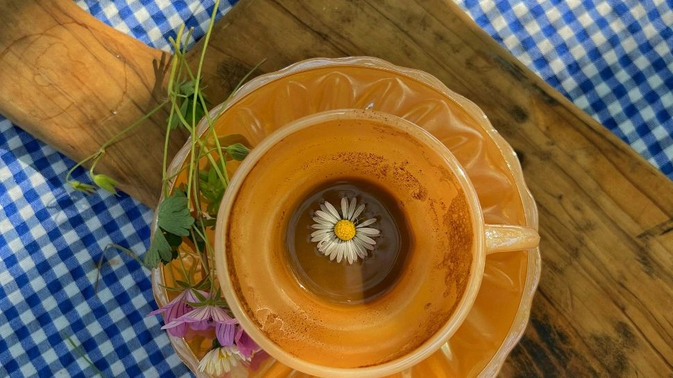 Obiceiul învățat în copilărie care îți poate afecta vederea. Remediul tradițional care poate face mai mult rău